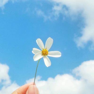 可以上下分捕鱼app手机app下载